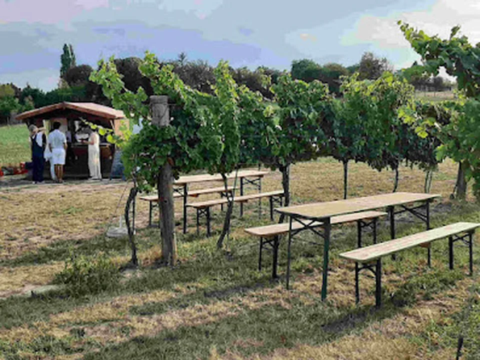 Bernreiters Marillengartl