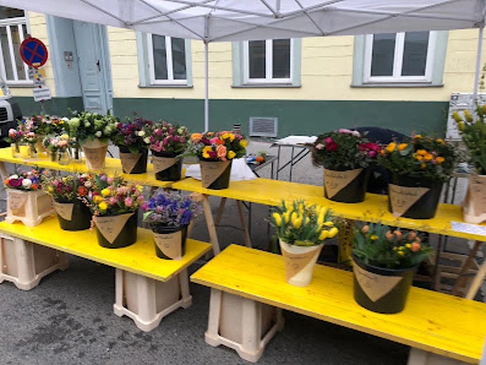 Biofisch am Kutschkermarkt