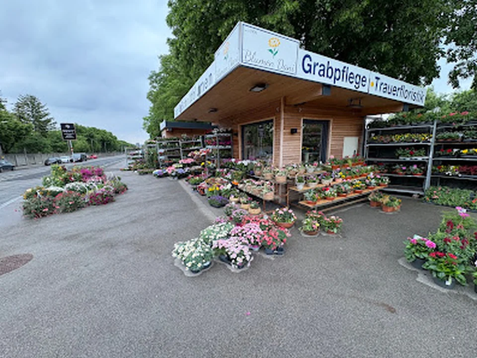 Blumen Dani
