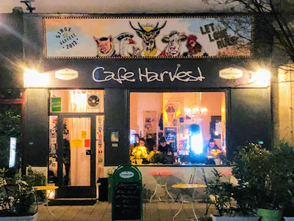 Cafe Harvest