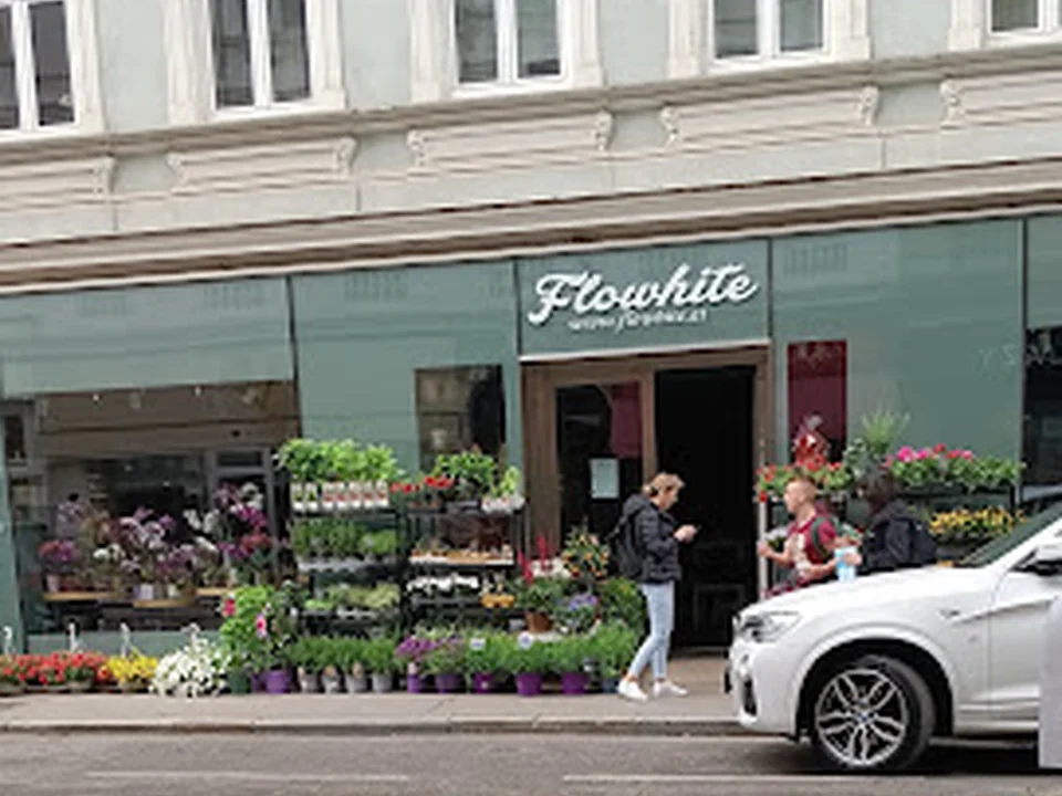 Flowers Flowhite
