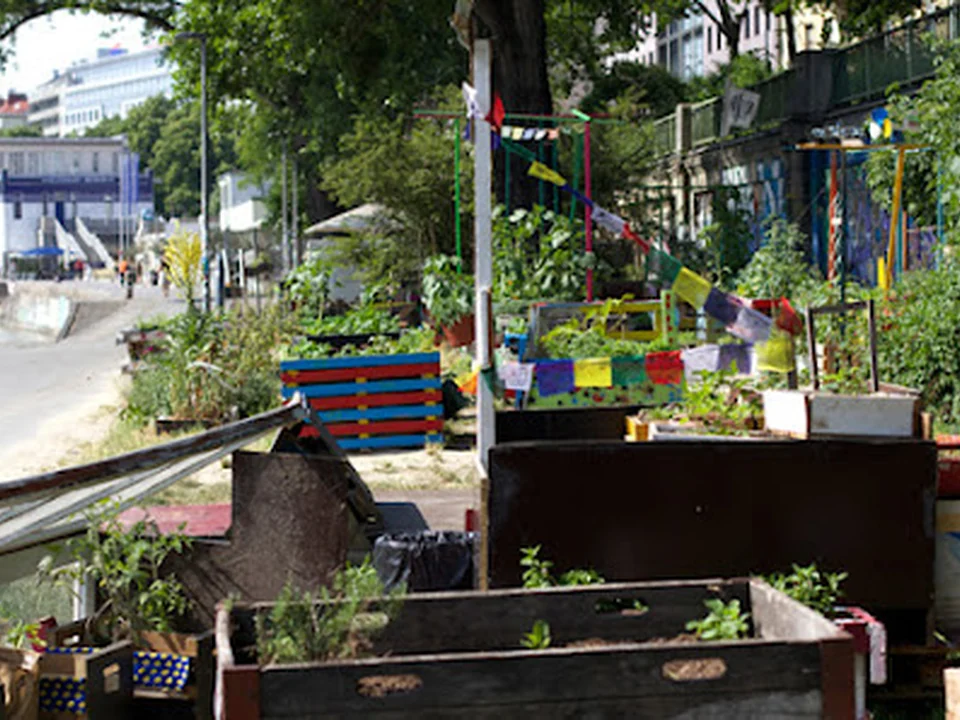 Gemeinschaftsgarten Donaukanal