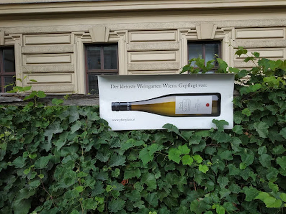 Kleinster Weingarten Wiens