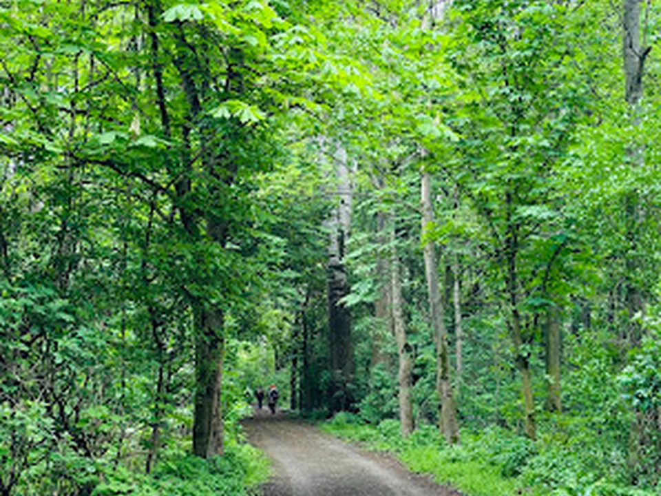 Lobau Nature Reserve