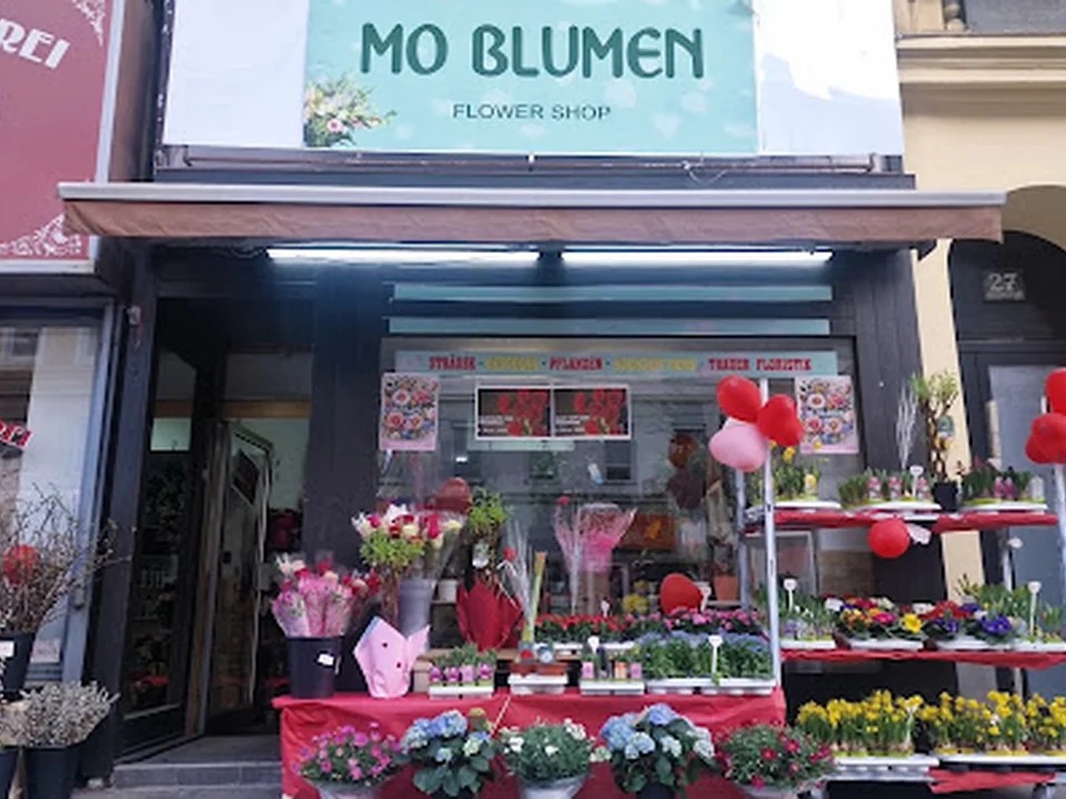 MO BLUMEN