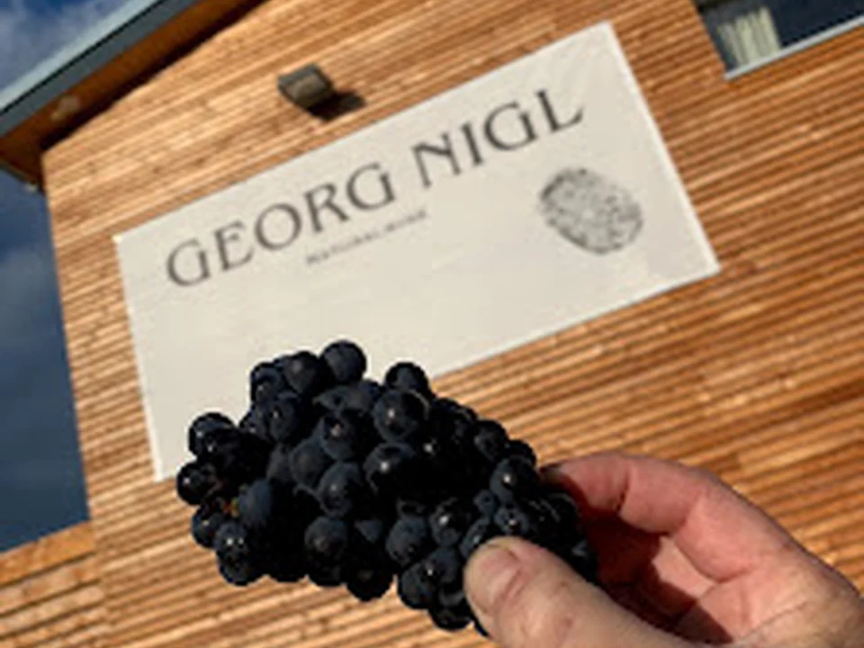 Nigl.com