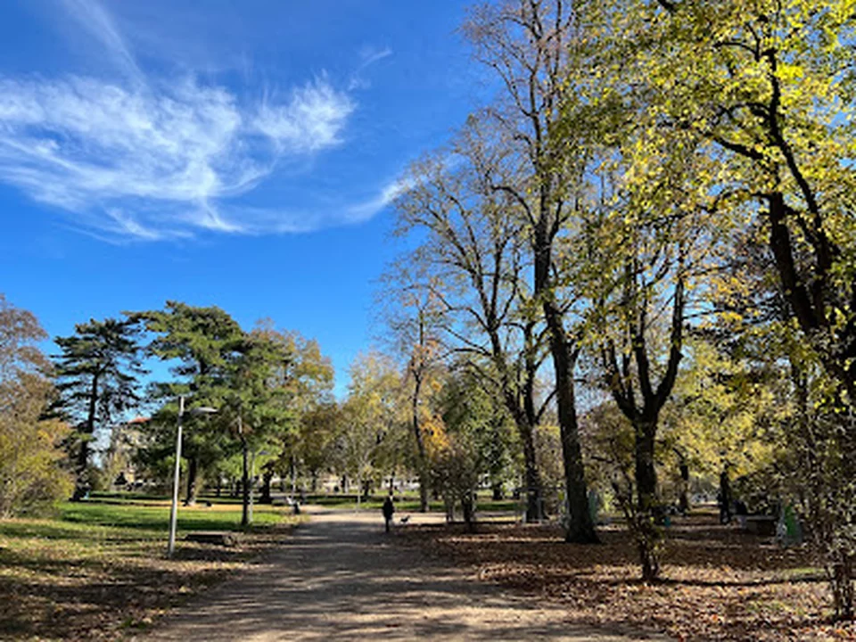 Playground Auer von Welsbach Park