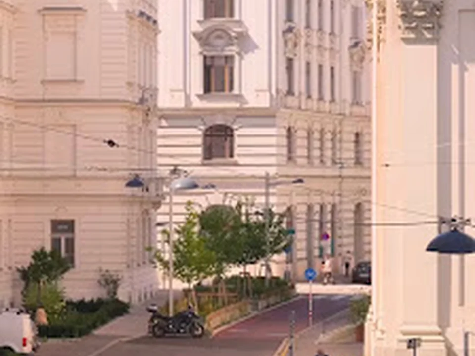 plutoopictures - Vienna’s Window