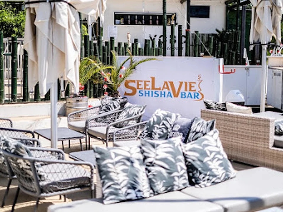 SeeLaVie Shishabar