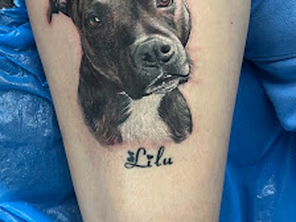 Skin City Tattoo Wien