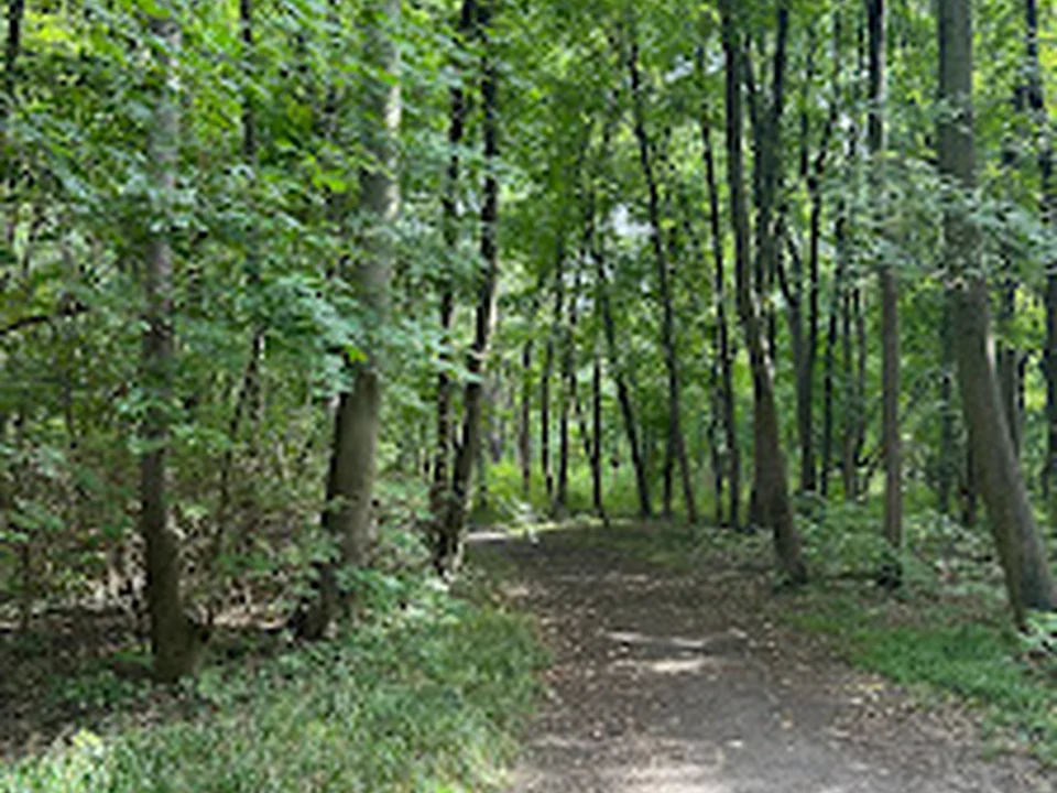 Stadtwanderweg 9