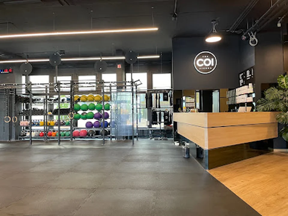 The COI Vienna