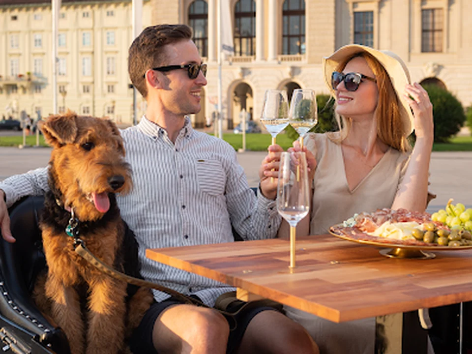 Vienna Dinner Tours