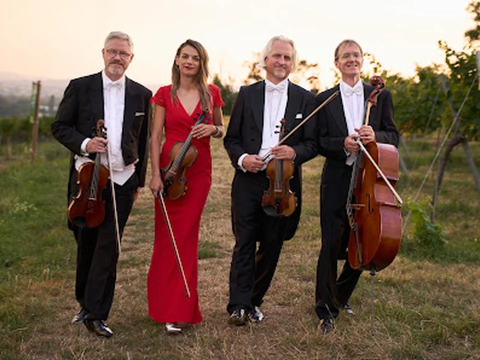 Vienna Strings