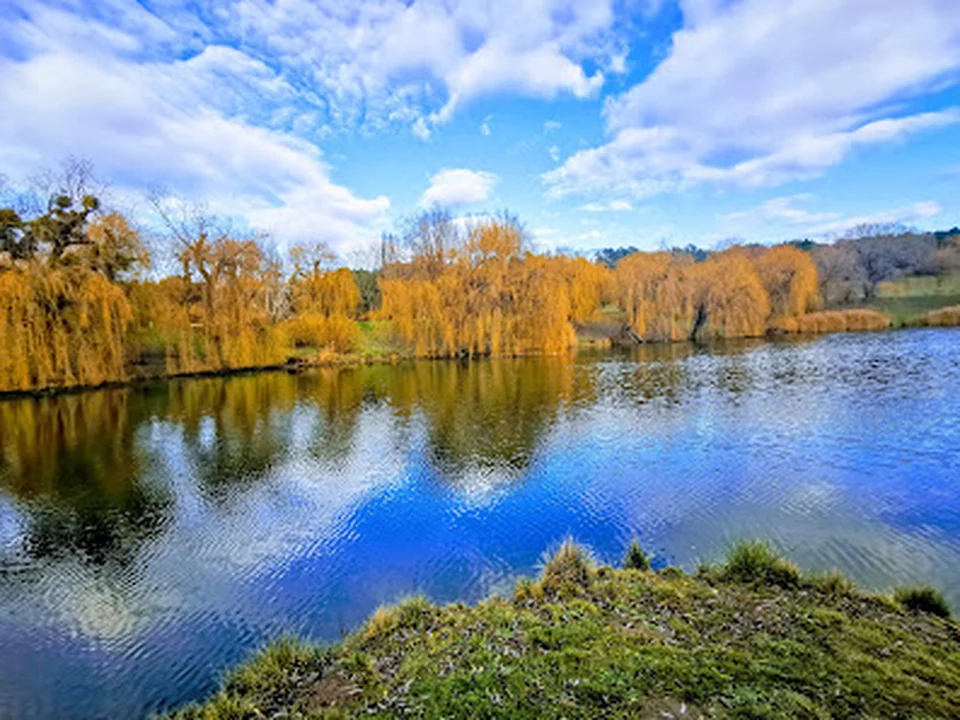 Volkspark - Entenpark