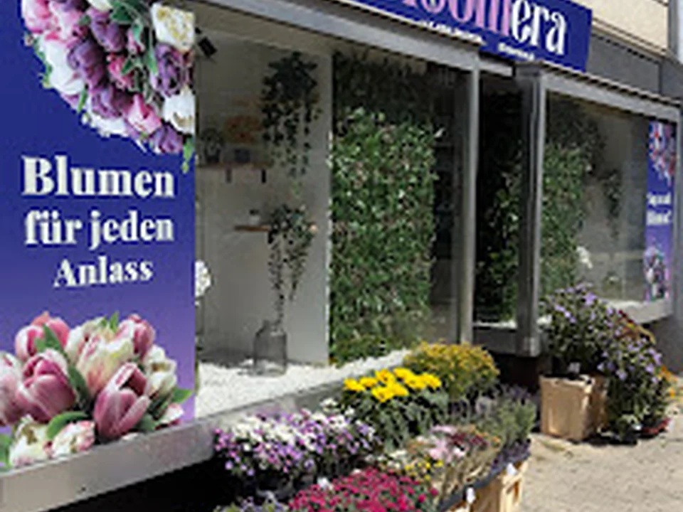 Bloomera Blumengeschäft, Vienna