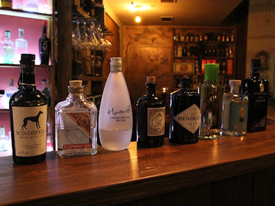 Vinogin Bar, Vienna