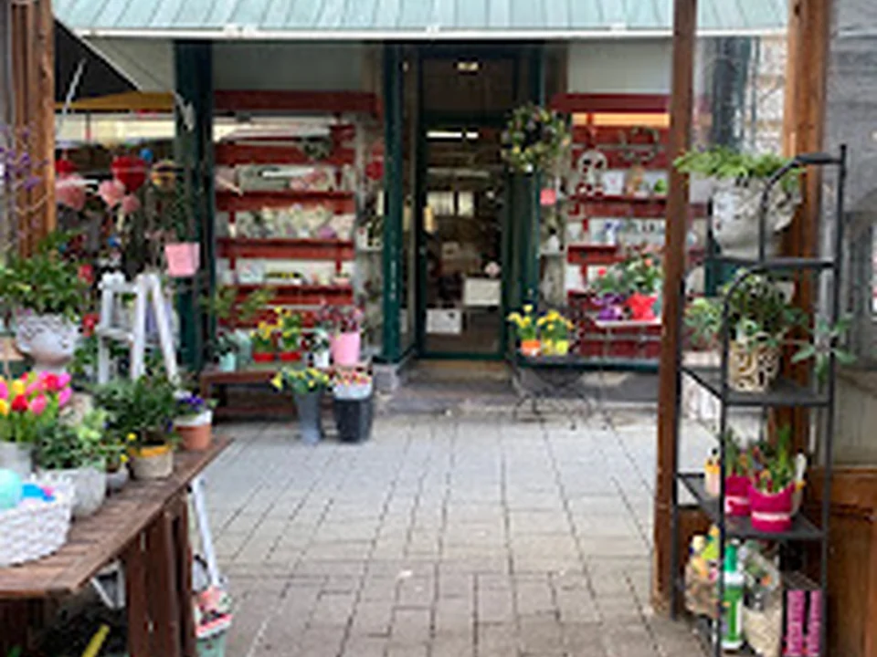 Kutschkermarkt, Vienna