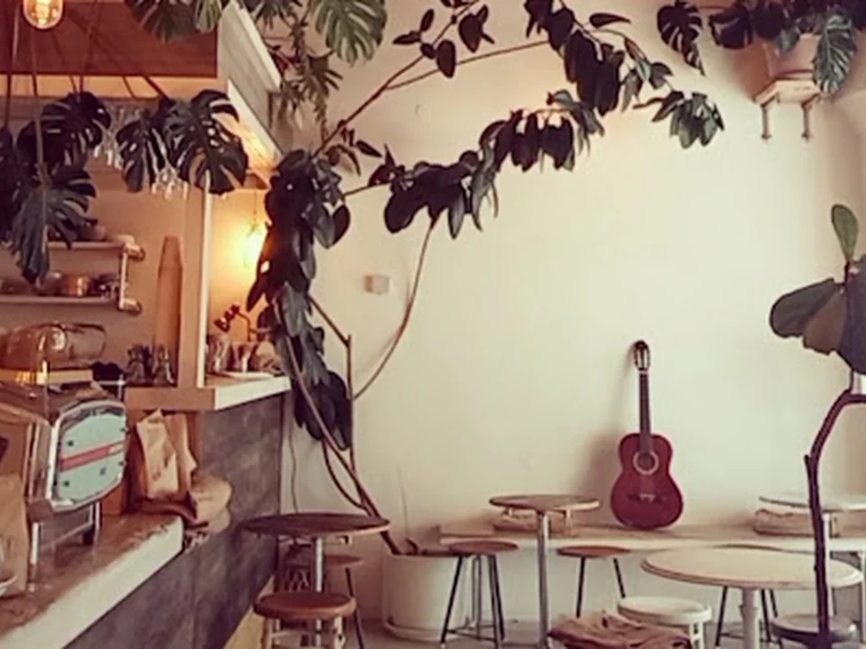 Bio Cafe Blütezeit, Vienna