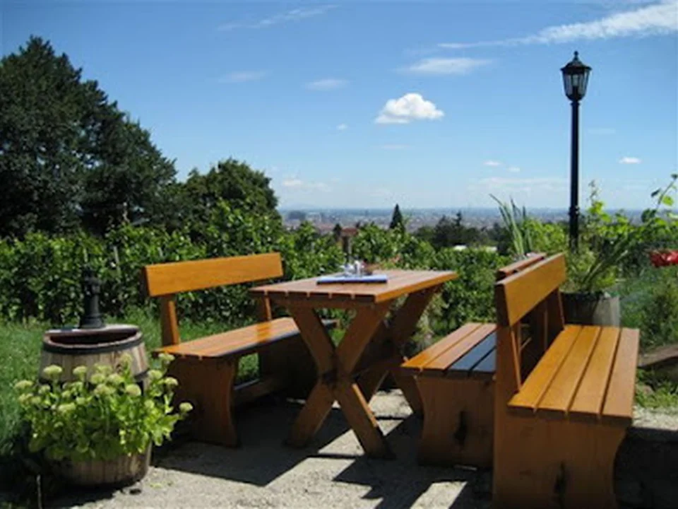 Buschenschank Stippert, Vienna